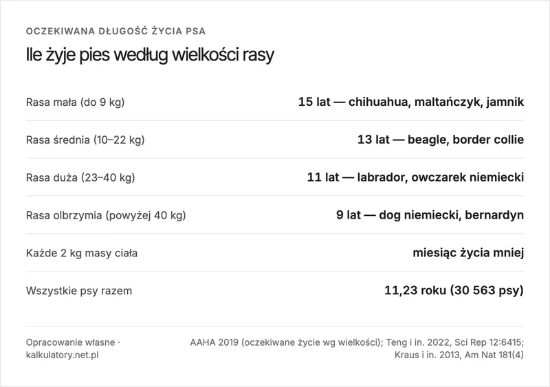 Infografika: ile żyje pies według wielkości rasy, cztery klasy masy ciała z oczekiwaną długością życia i regułą miesiąca na każde 2 kg