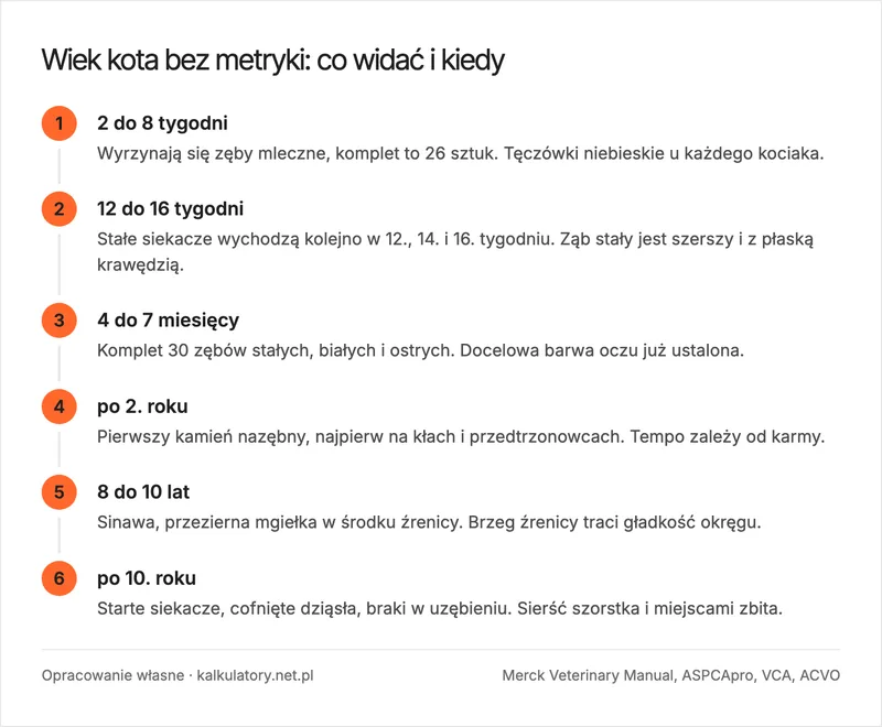 Oś czasu życia kota z zaznaczonymi zmianami uzębienia i oka, które pozwalają rozpoznać wiek kota bez metryki